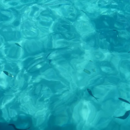 Villa L'hacienda Piscine Chauffee A 28, Spa, Boulodrome Et Court De Tennis Prives, 2 Independantes