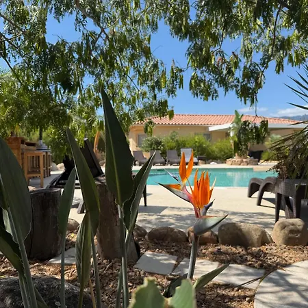 L'hacienda Piscine Chauffée à 28, Spa, Boulodrome Et Court De Tennis Privés, 2 Indépendantes Villa