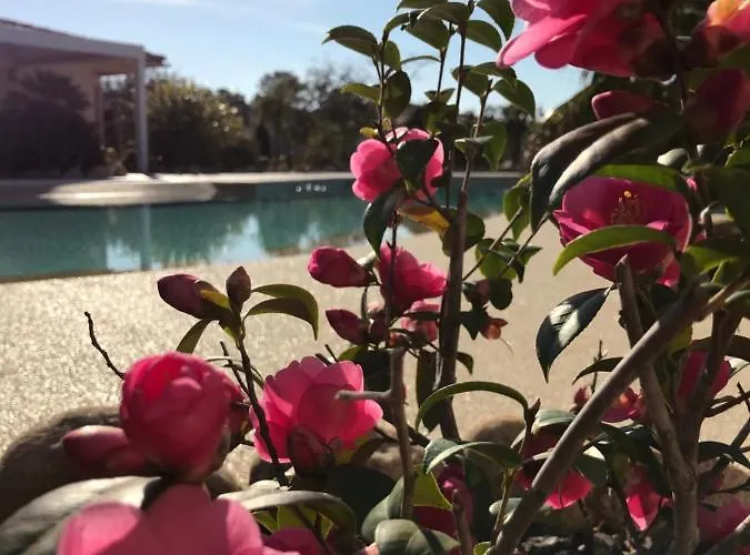 L'hacienda Piscine Chauffée à 28, Spa, Boulodrome Et Court De Tennis Privés, 2 Indépendantes *