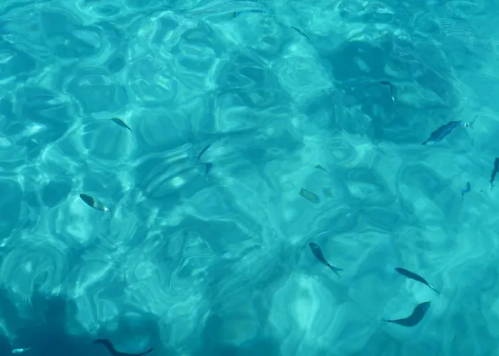 Villa L'hacienda Piscine Chauffée à 28, Spa, Boulodrome Et Court De Tennis Privés, 2 Indépendantes