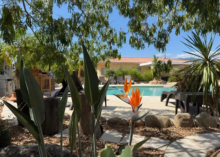 L'hacienda Piscine Chauffée à 28, Spa, Boulodrome Et Court De Tennis Privés, 2 Indépendantes Villa