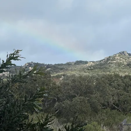 Villa L'hacienda Piscine Chauffee A 28, Spa, Boulodrome Et Court De Tennis Prives, 2 Independantes Porto-Vecchio (Corsica)