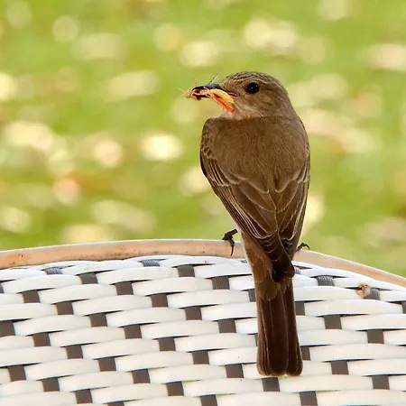 L'hacienda Piscine Chauffee A 28, Spa, Boulodrome Et Court De Tennis Prives, 2 Independantes *