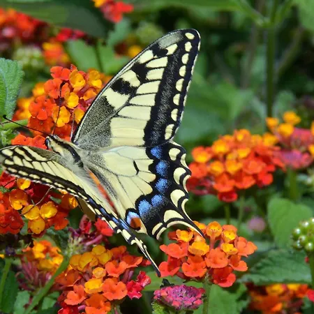 L'hacienda Piscine Chauffee A 28, Spa, Boulodrome Et Court De Tennis Prives, 2 Independantes