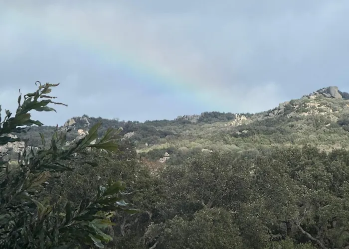 Villa L'hacienda Piscine Chauffee A 28, Spa, Boulodrome Et Court De Tennis Prives, 2 Independantes Porto-Vecchio (Corsica)