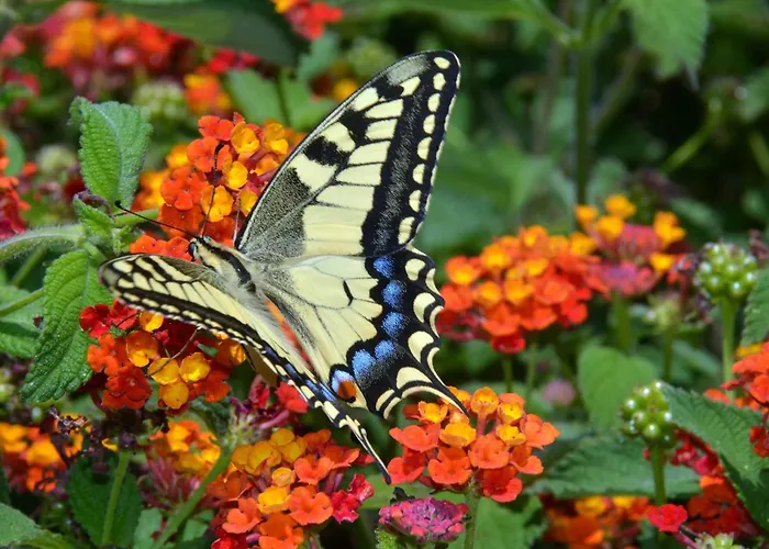 L'hacienda Piscine Chauffee A 28, Spa, Boulodrome Et Court De Tennis Prives, 2 Independantes